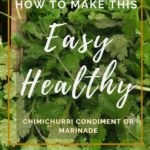 385 Life How to Make Chimichurri Condiment or Marinade