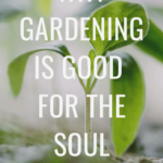385 Life, Why Gardening is Good for the Soul