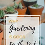 385 Life, Why Gardening is Good for the Soul