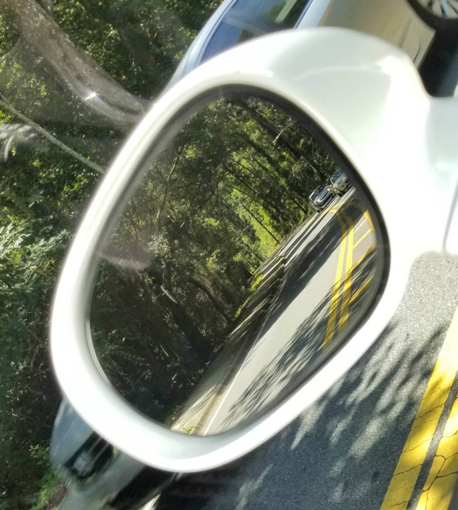 #385Life in the Rearview, Tallahassee, Oak Trees, Road Trips, Florida