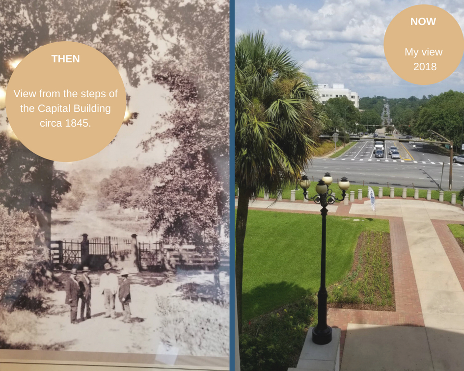 385Life View from the Capitol Building Tallahassee Then and Now