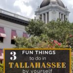 385 Life, Three Fun Things to do in Tallahassee by Yourself