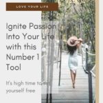 385 Life Ingite Passion Into Your Life Pin